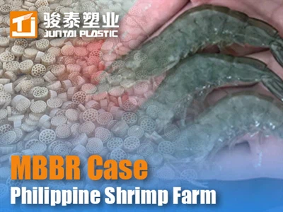 MBBR Kev vam meej hauv Philippine Aquaculture: Case Study & Performance Results